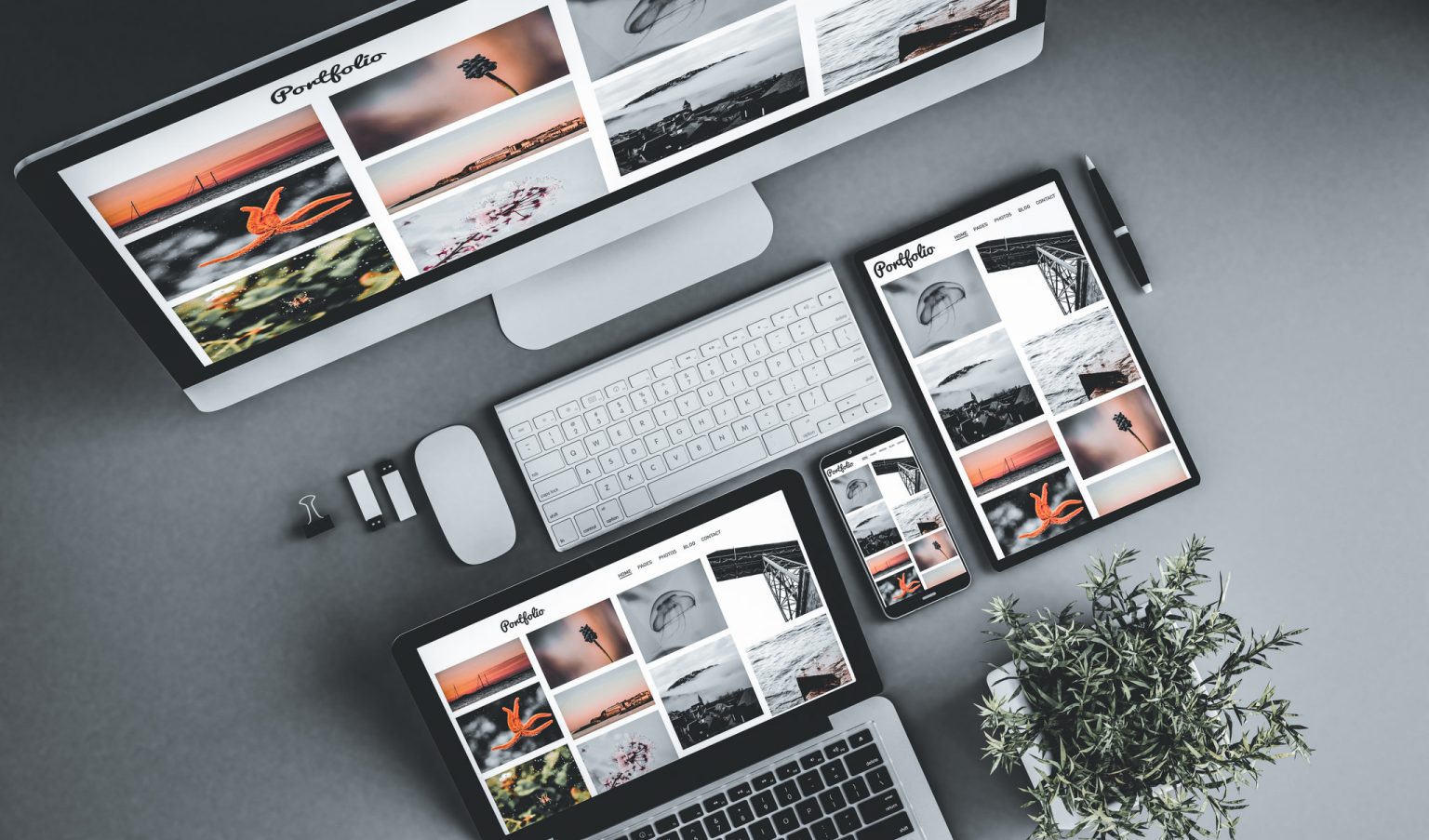 Digitale enheter som viser en fotoportefølje